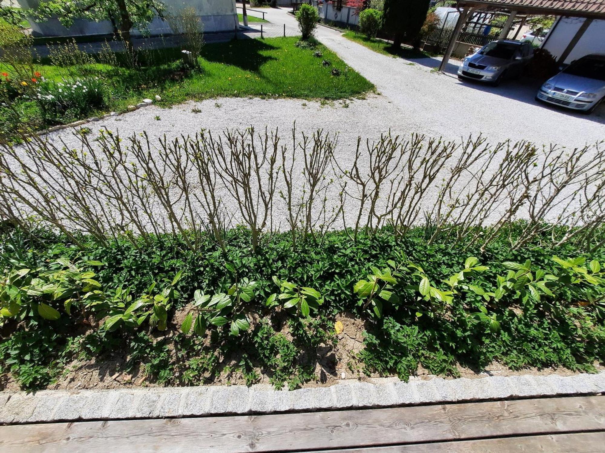 Apartment Alpipond Kamnik Εξωτερικό φωτογραφία
