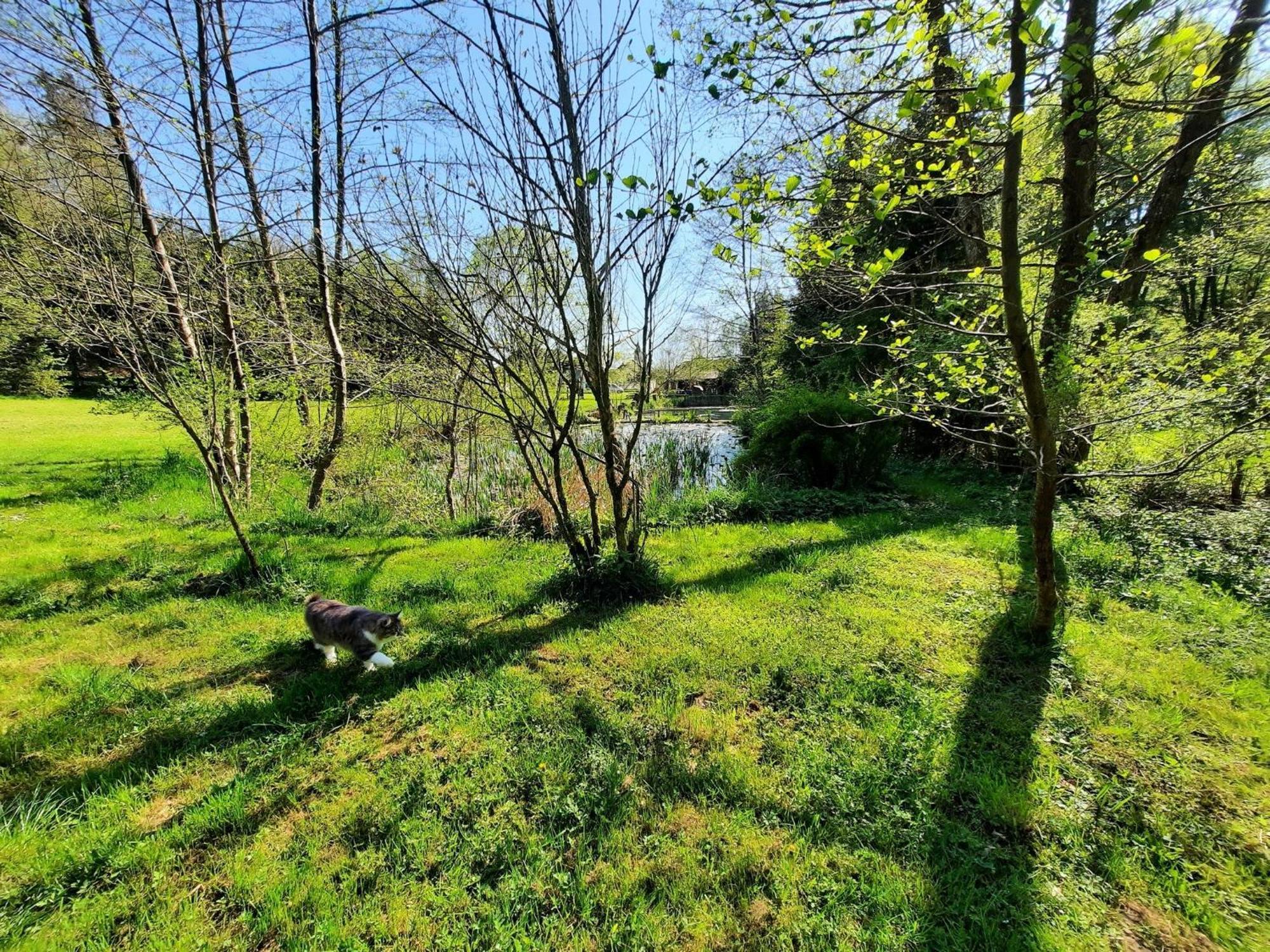 Apartment Alpipond Kamnik Εξωτερικό φωτογραφία